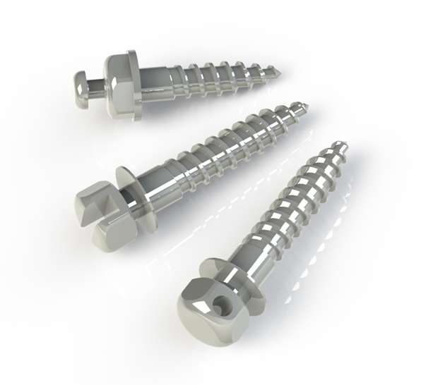 Ancona orthodontic implants with 3 types of head