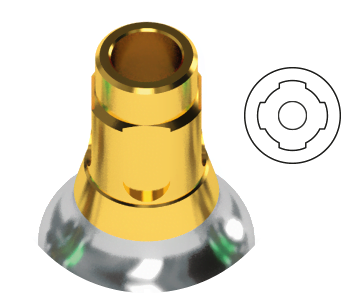 BIONIKA COMPATIBLE BL Implant System- Straumann BoneLevel - connection