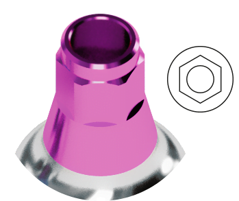 BIONIKA COMPATIBLE TP Implant system - ICX Templant - connection