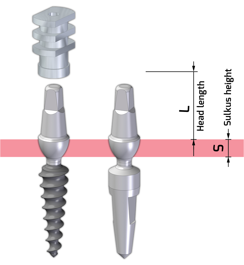 The Slim Flexible implant can be ordered with technical implant and a sampling head as well.
