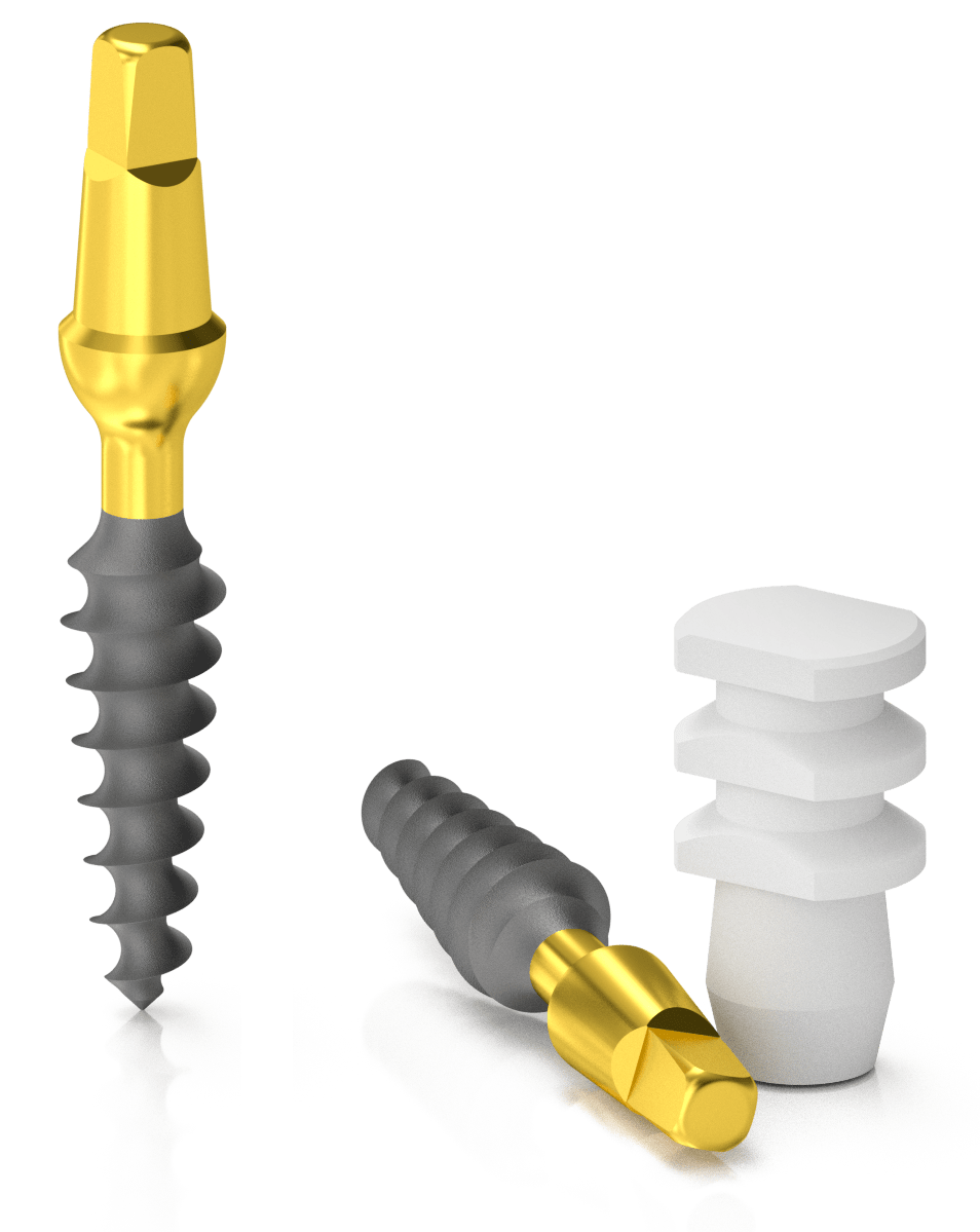 BIONIKA Slim Flexible Implant