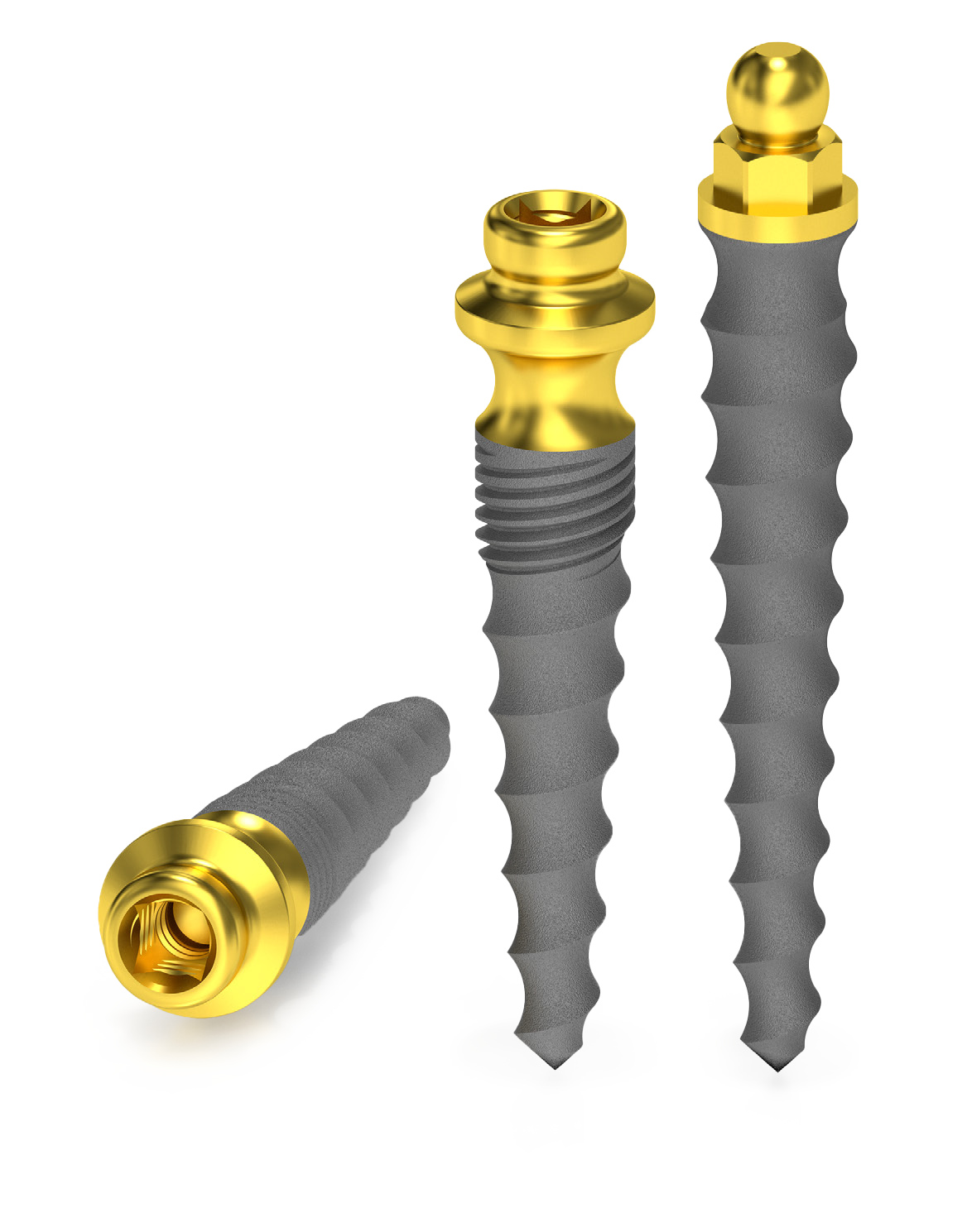 slim bg és microlock Slim BG és Microlock, hasonló implantátumtesttel, de különböző fejkialakítással.