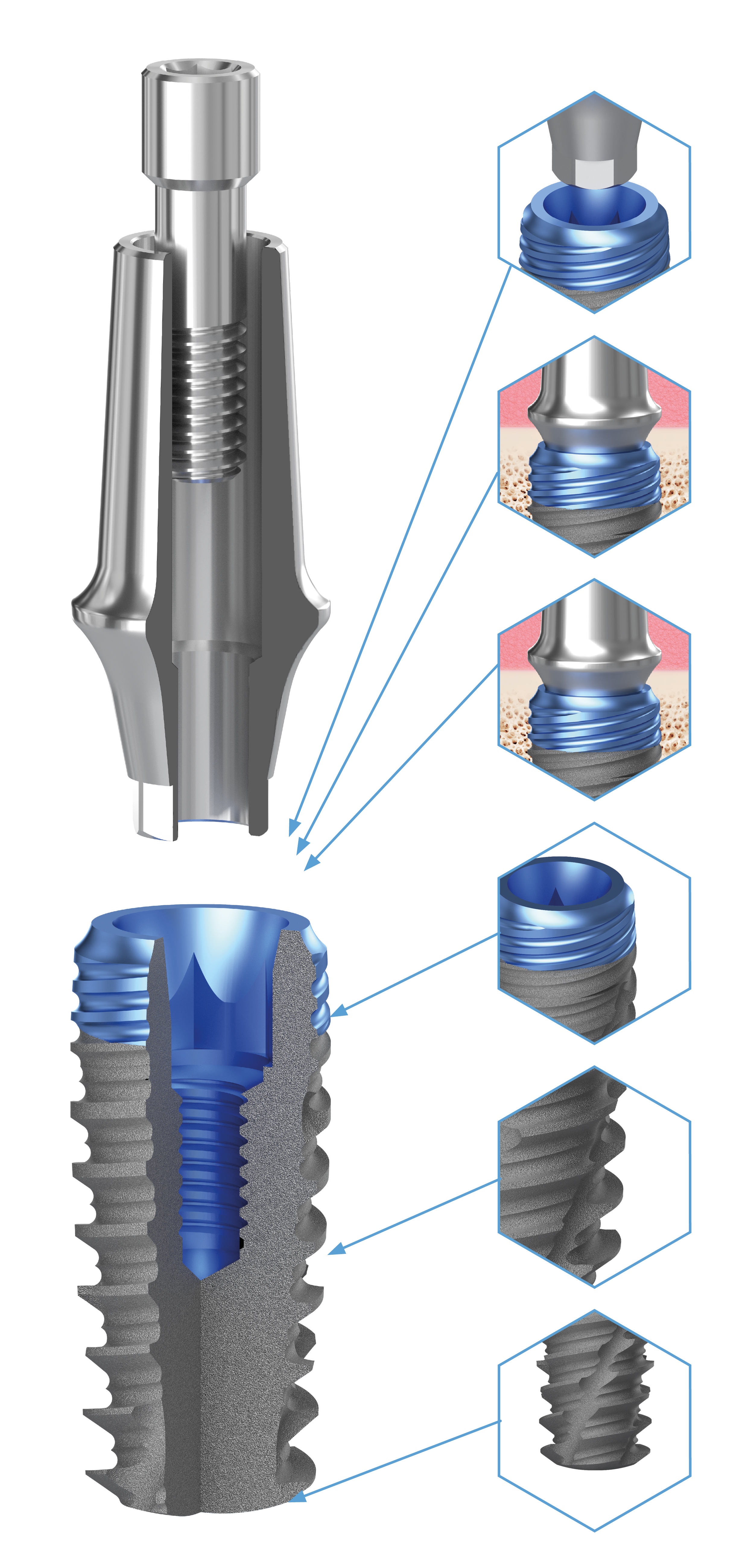actival-tulajdonsagok BioLevel