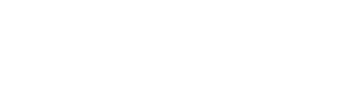 BIONIKA